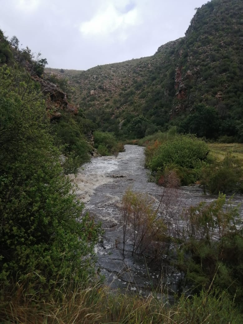 3 Bedroom Property for Sale in Joubertina Eastern Cape